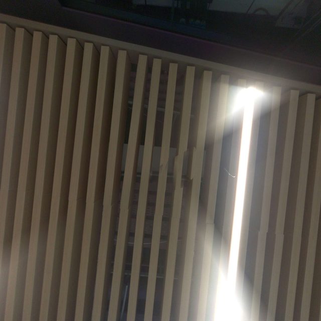Level 4 Setup 002 · View 05