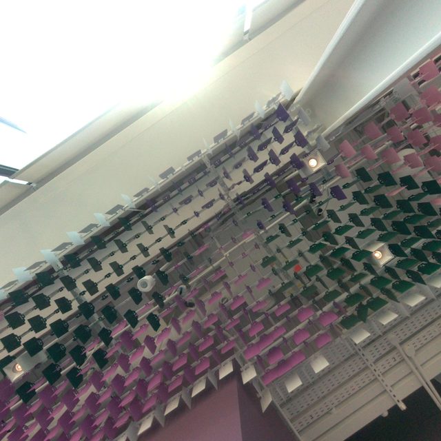 Level 4 Setup 014 · View 05